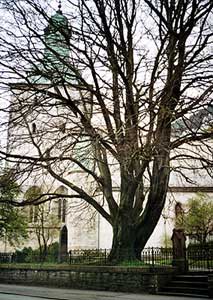 Bergens domkirke